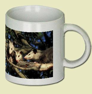 Opossum Coffee Mug