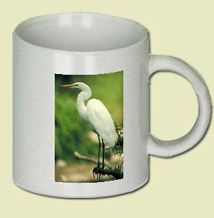 Common Egret Coffee Mug