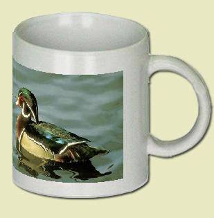 Wood Duck Coffee Mug