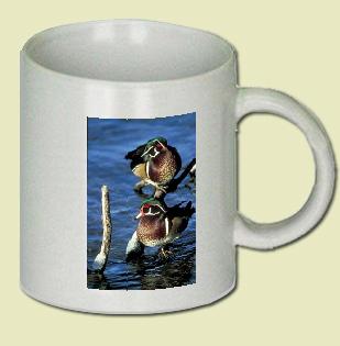 Wood Duck Coffee Mug