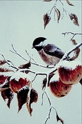 Black-capped chickadee Magnet