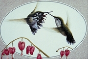 Calliope hummingbird Magnet