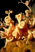 Basket star Poster