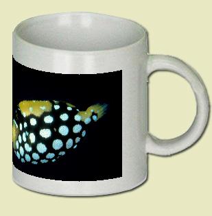 Clown triggerfish Coffee Mug