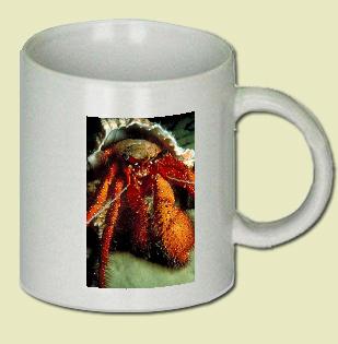 Hermit crab Coffee Mug