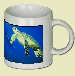Olive ridley turtle Coffee Mug