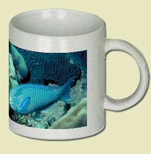 Queen parrotfish Coffee Mug