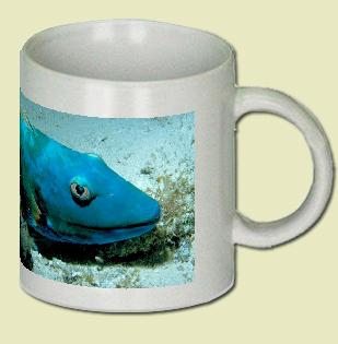 Stoplight parrotfish Coffee Mug