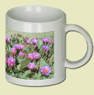 Beavertail Cactus Coffee Mug