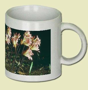 Lily Coffee Mug