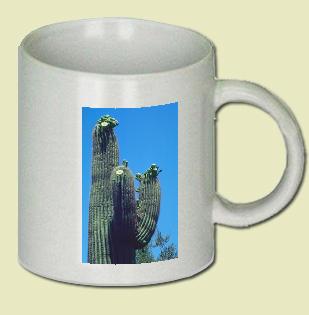 Saguaro Cactus Coffee Mug