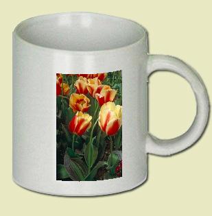Tulip Coffee Mug