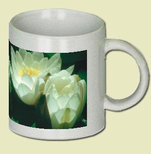 Water Lily Coffee Mug