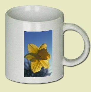 Daffodil Coffee Mug