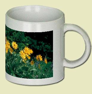 Daisy Coffee Mug