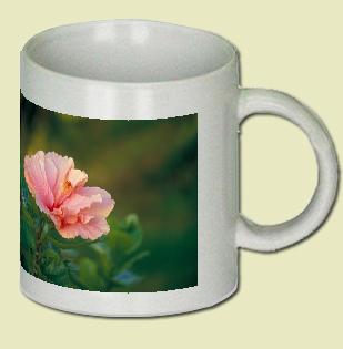 Hibiscus Coffee Mug