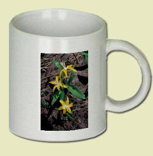 Lily Coffee Mug