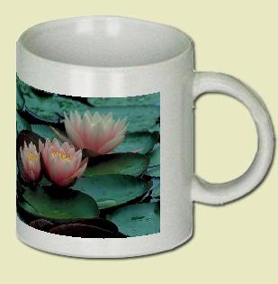 Water Lily Coffee Mug