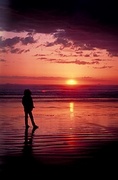 Beach Sunset Magnet
