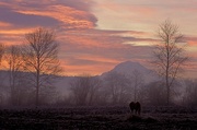 Mountain Dawn Magnet