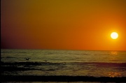 Orange Sunset Magnet