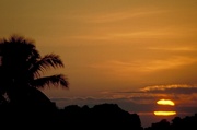 Palm Tree Sunset Magnet