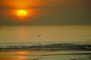 Red Sky Magnet