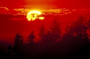 Red Sunset Magnet