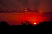 Sunset Magnet