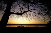 Sunset and Tree Magnet