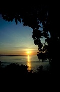 Sunset and Tree Magnet