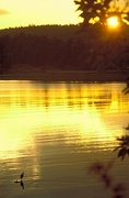 Yellow Sun Magnet