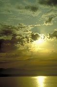 Yellow Sun Magnet