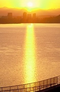 Yellow Sun Magnet