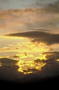 Yellow Sunset Magnet