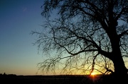 Yellow Sunset Magnet