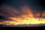 Yellow Sunset Magnet