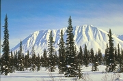 Alaska Magnet
