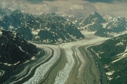 Ruth Glacier Magnet