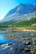 Elpoca Mountain Magnet
