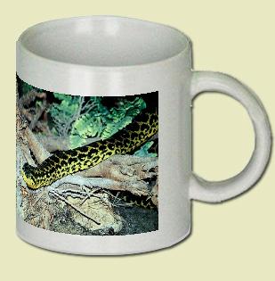 Anaconda Coffee Mug