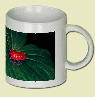 Arrow-poison frog Coffee Mug