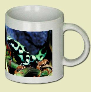 Arrow-poison frog Coffee Mug