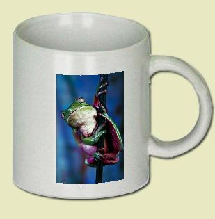 Cuban Tree frog Coffee Mug