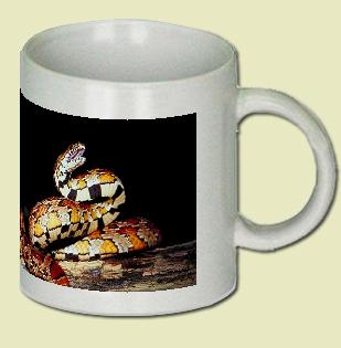 Corn snake Coffee Mug
