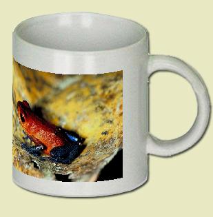 Strawberry frog Coffee Mug