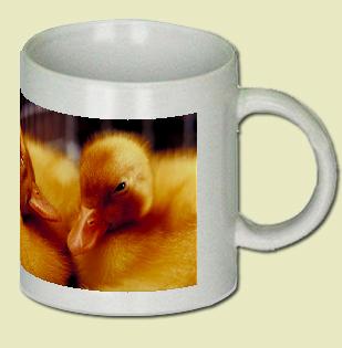 Duck Coffee Mug