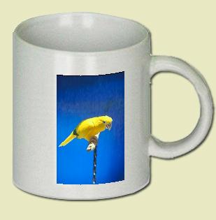 Golden conure Coffee Mug