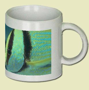 Porkfish Coffee Mug