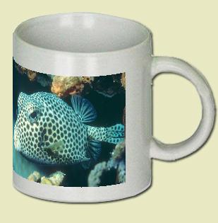 Spotted Trunkfish Coffee Mug